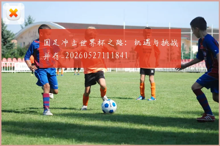 国足冲击世界杯之路：机遇与挑战并存_20260527111841
